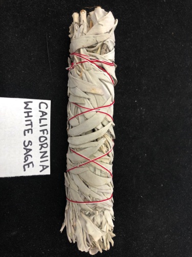 California White Sage