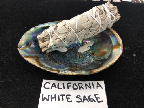 California White Sage
