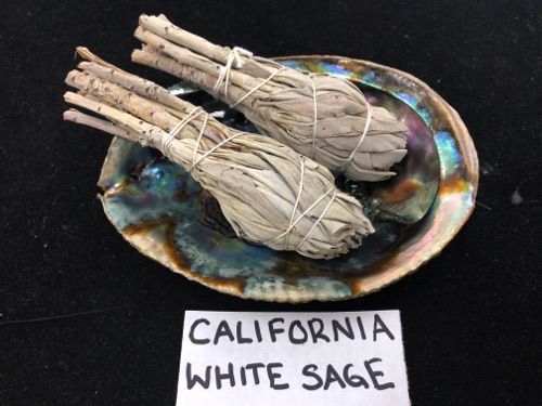 California White Sage