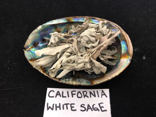 California White Sage
