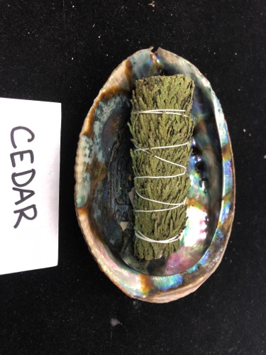 Cedar